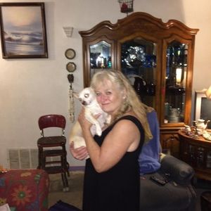 Meet your Posher, Rita